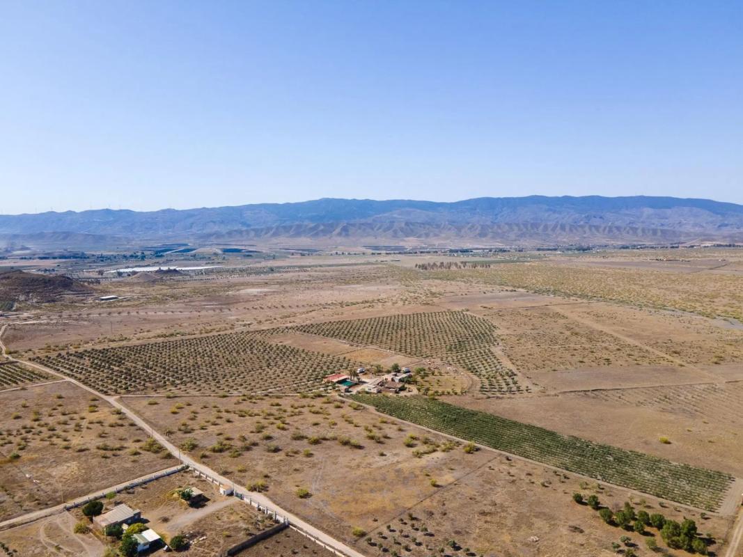 Terreno en venta en Tabernas, Almería photo 3