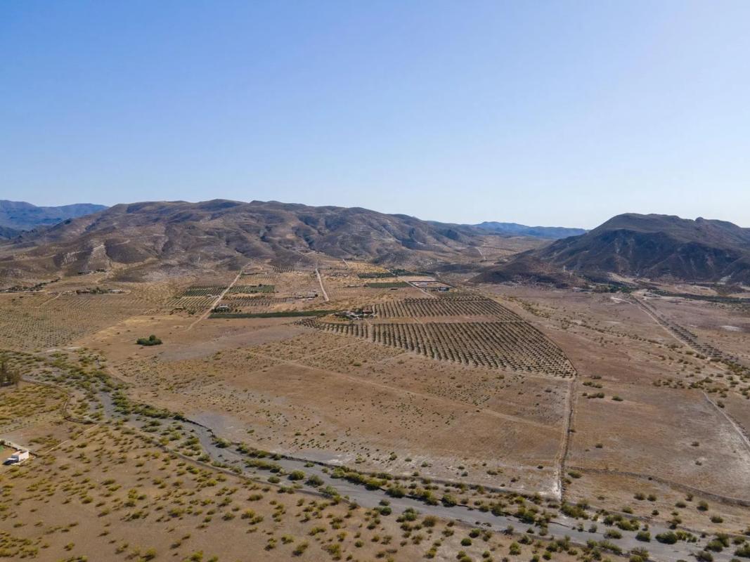 Terreno en venta en Tabernas, Almería photo 5