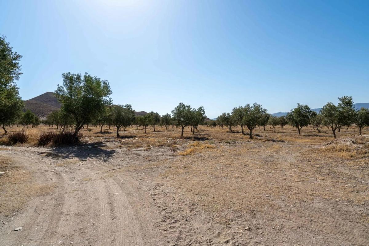 Terreno en venta en Tabernas, Almería photo 3