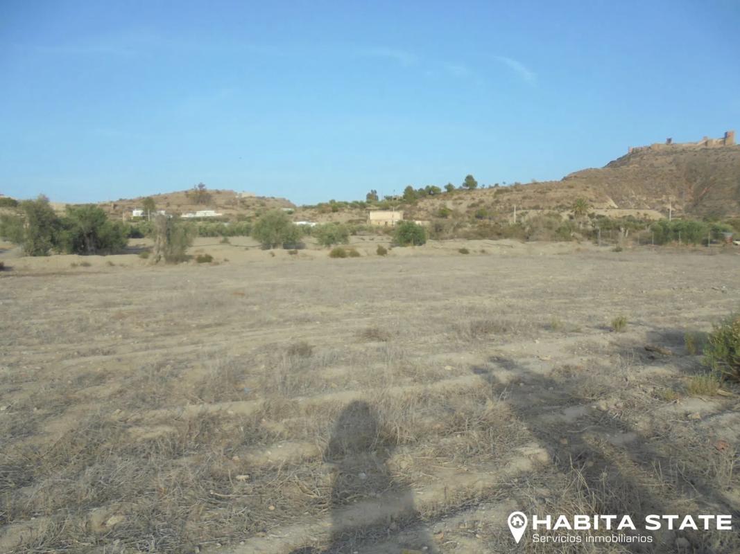 Terreno en venta en Tabernas, Almería photo 2