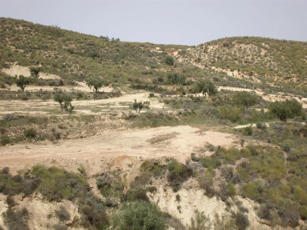 Działka na sprzedaż w Lucainena de las Torres, Almería photo 2