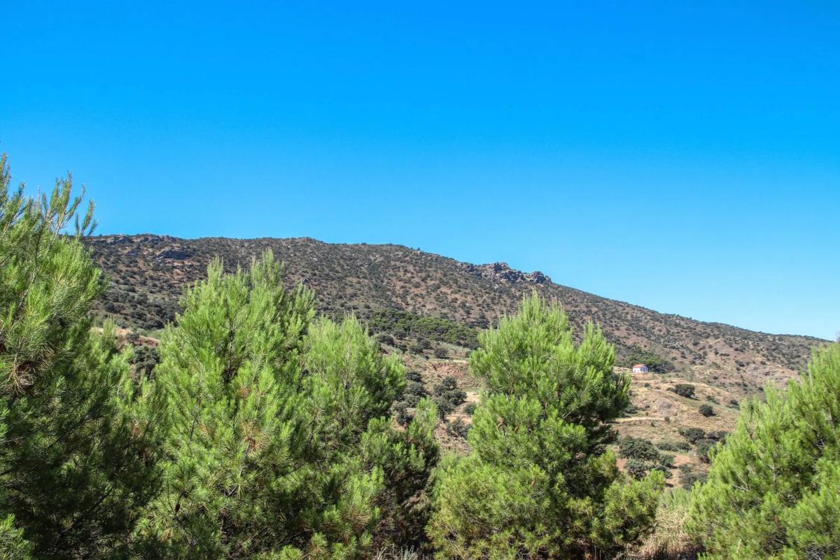 Terreno en venta en Tabernas, Almería photo 5