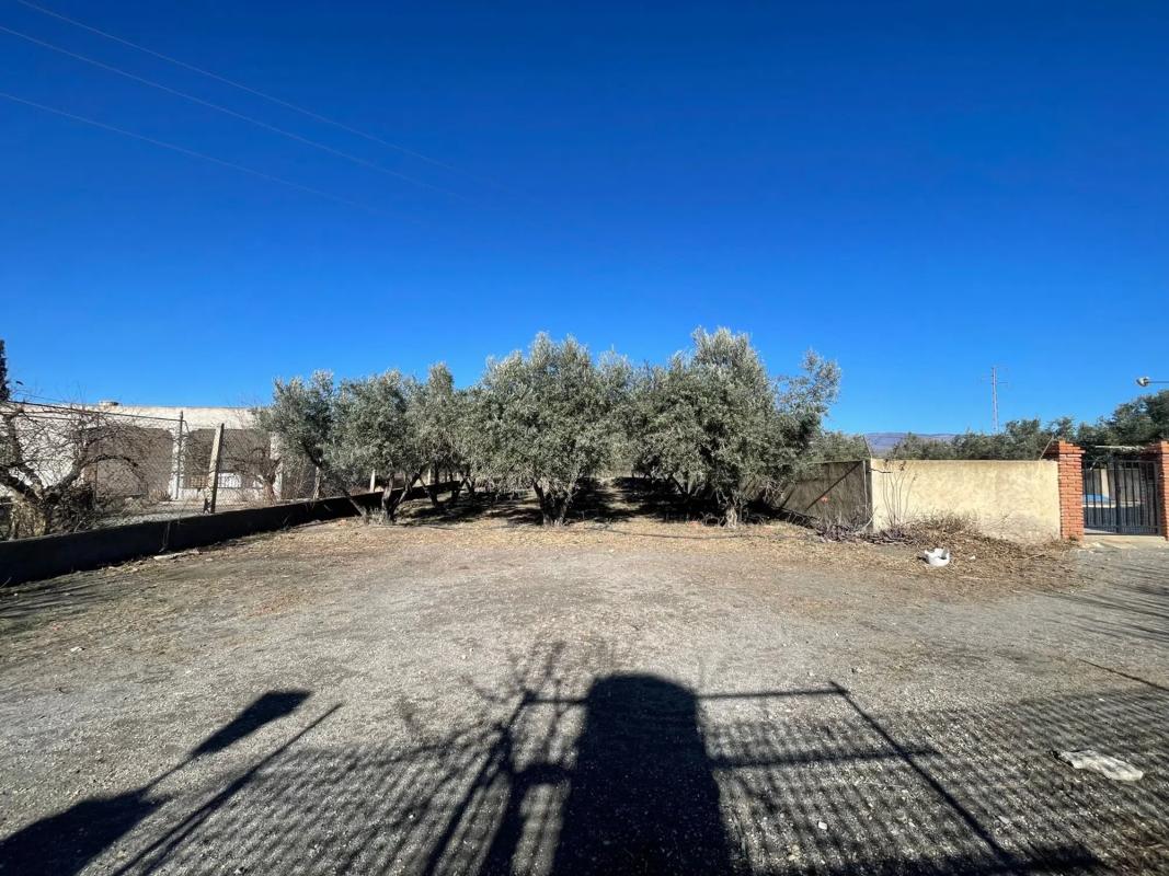 Terreno en venta en Tabernas, Almería photo 3