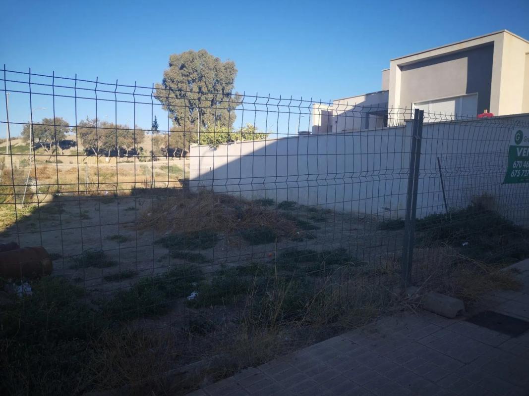 Terreno en venta en Tabernas, Almería photo 3