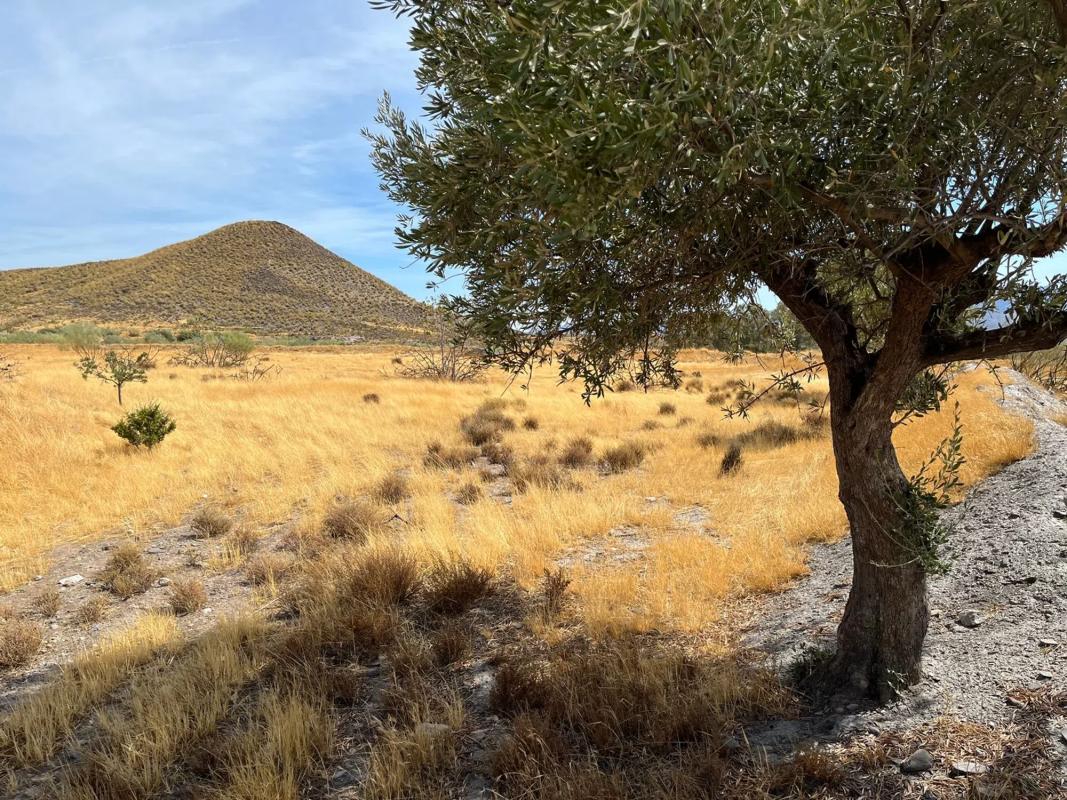 Terreno en venta en Tabernas, Almería photo 3