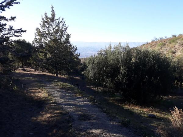 Terreno en Cortijo Aldana - Sierra Alhamilla s/n thumbnail 1