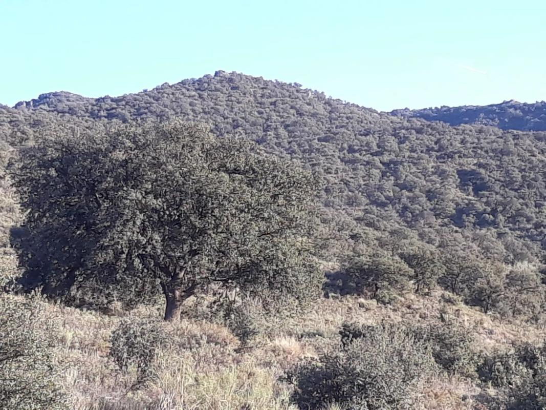 Terreno en venta en Tabernas, Almería photo 3