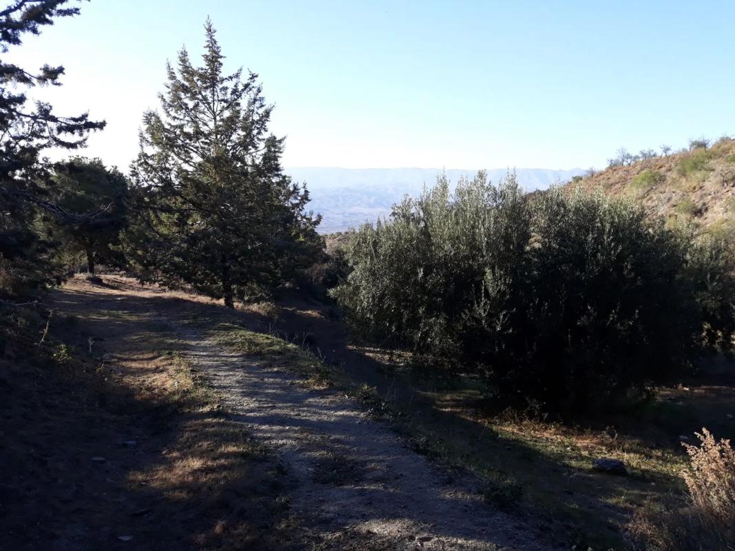 Terreno en venta en Tabernas, Almería photo 2