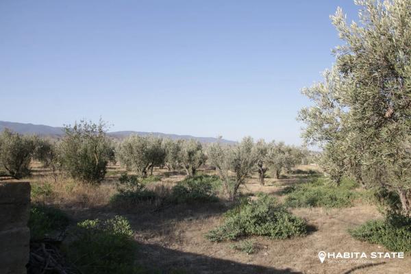 Terreno en carretera De Turrillas, km 22 thumbnail 1