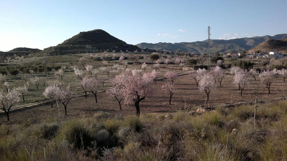 Land for sale in Sorbas, Almería photo 1