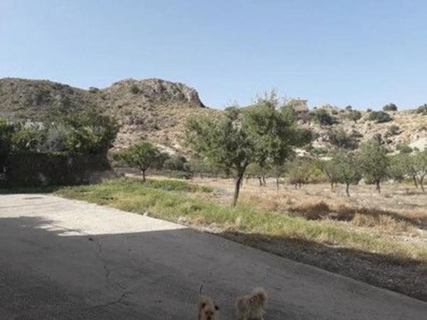 Terreno en carretera de sorbas s/n photo 2