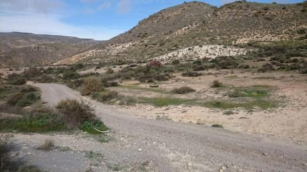 Terreno en camino Natural Vía Verde de Lucainena de las Torres a Agua Amarga photo 2