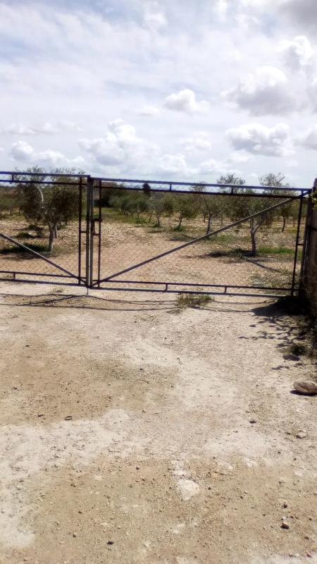 Terreno en venta en Sorbas, Almería photo 1
