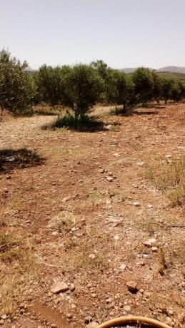 Terreno en carretera Nacional 340, km 488 photo 3