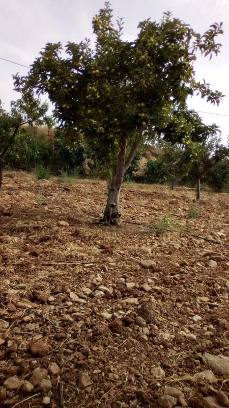 Terreno en venta en Sorbas, Almería photo 4