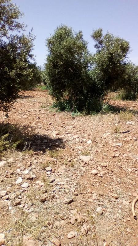 Terreno en venta en Sorbas, Almería photo 5