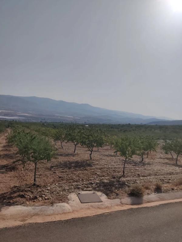 Terreno en venta en Abrucena, Almería photo 2
