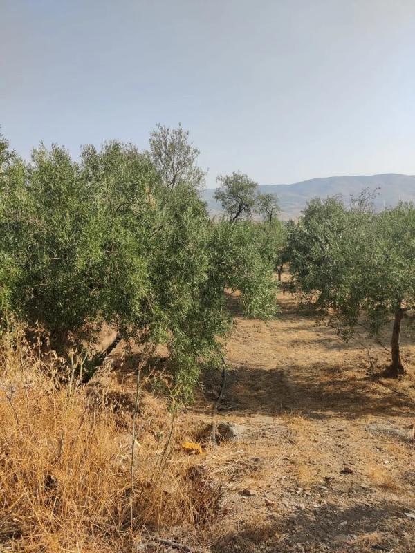 Terreno en venta en Abrucena, Almería photo 3