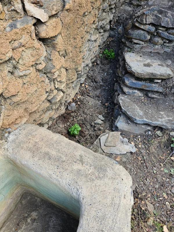 Terreno en venta en Abla, Almería photo 1