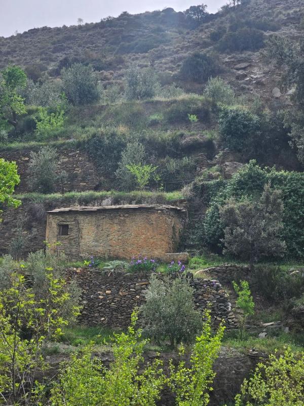 Terreno en venta en Abla, Almería photo 2