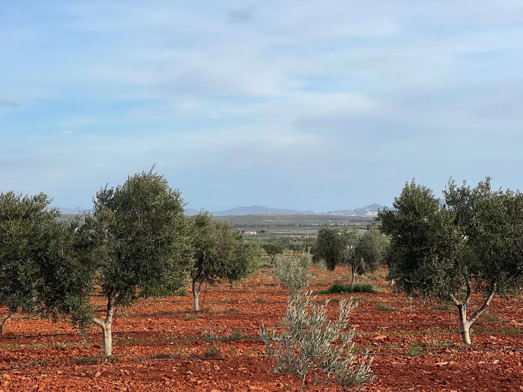 Terreno en venta en Uleila del Campo, Almería photo 1