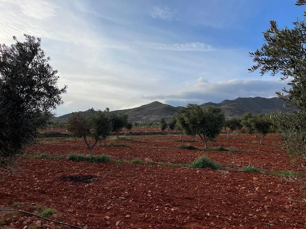 Terreno en venta en Uleila del Campo, Almería photo 2