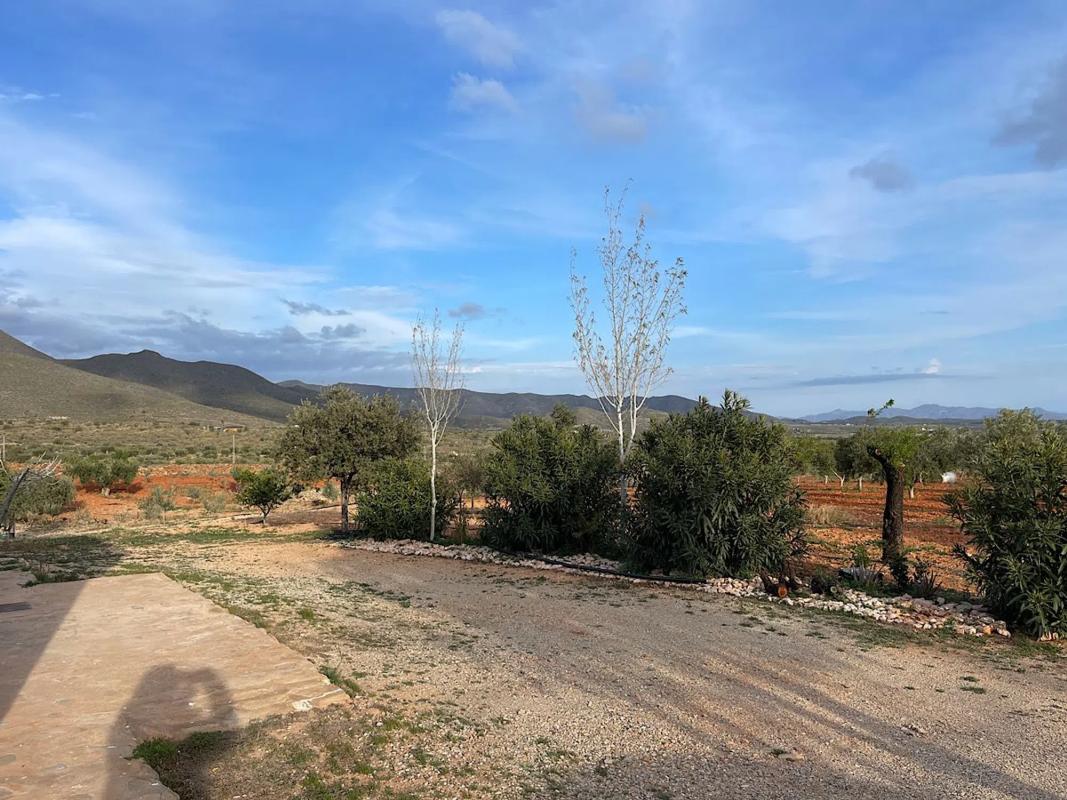 Terreno en venta en Uleila del Campo, Almería photo 4