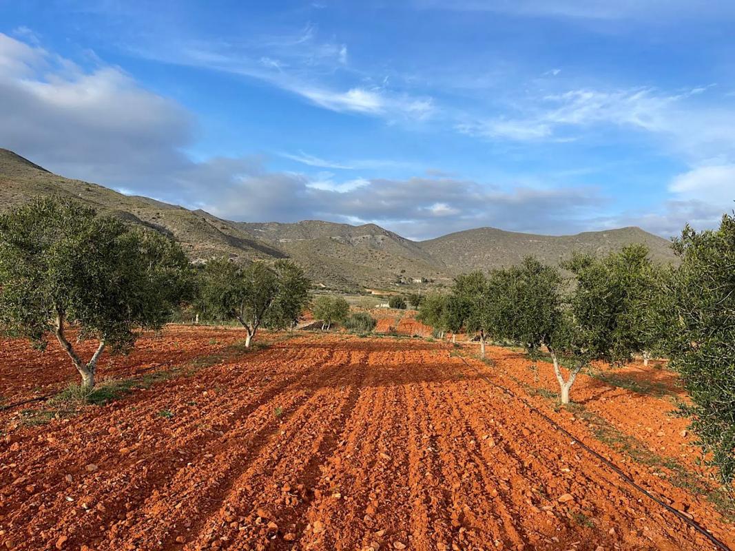 Terreno en venta en Uleila del Campo, Almería photo 5