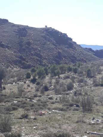 Terreno en calle Paraje s/n photo 1