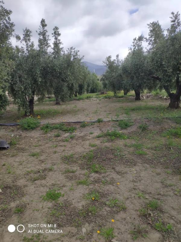 Terreno en venta en Las Tres Villas, Almería photo 1