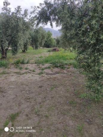 Terreno en Pago de la Cruz s/n photo 2