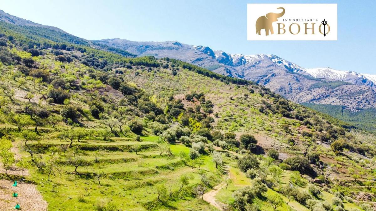 Terreno en venta en Abrucena, Almería photo 2