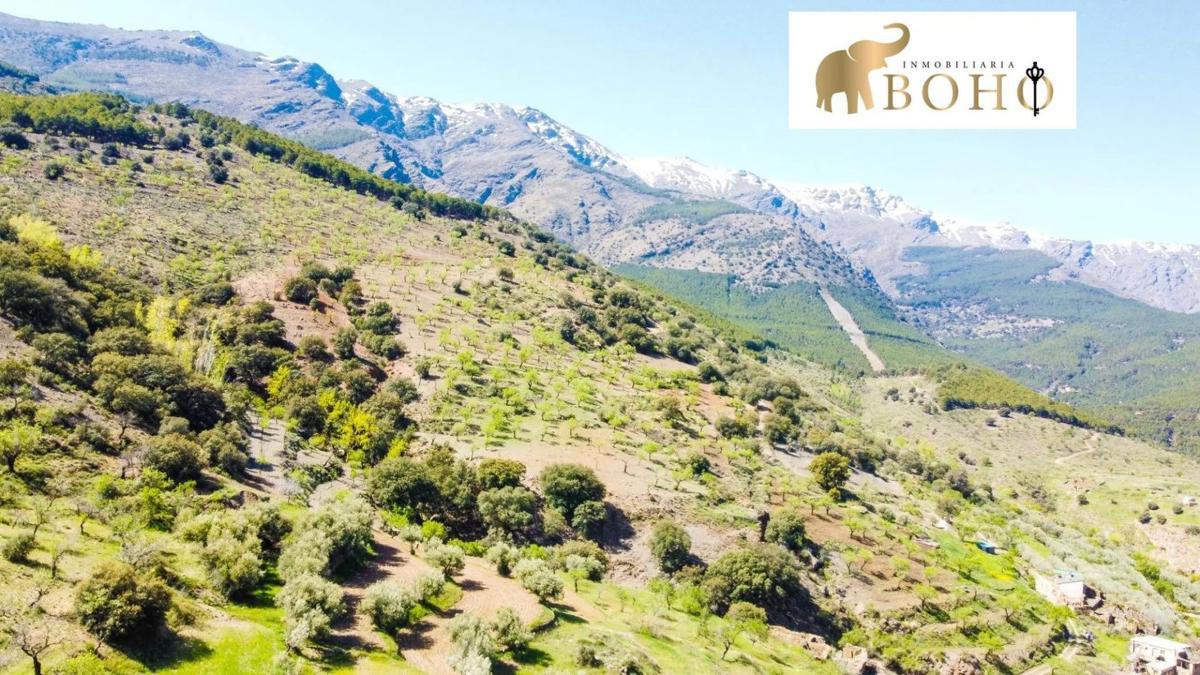 Terreno en venta en Abrucena, Almería photo 3
