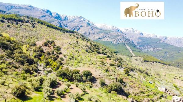 Terreno en Abrucena photo 3