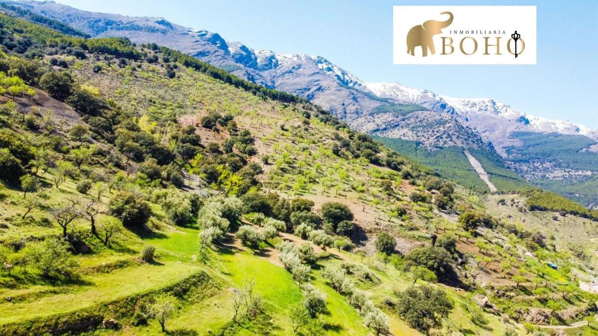 Terreno en venta en Abrucena, Almería photo 4