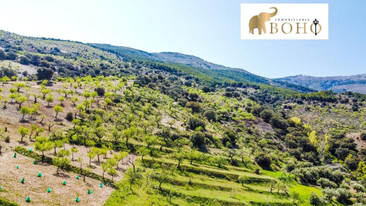 Terreno en venta en Abrucena, Almería photo 5