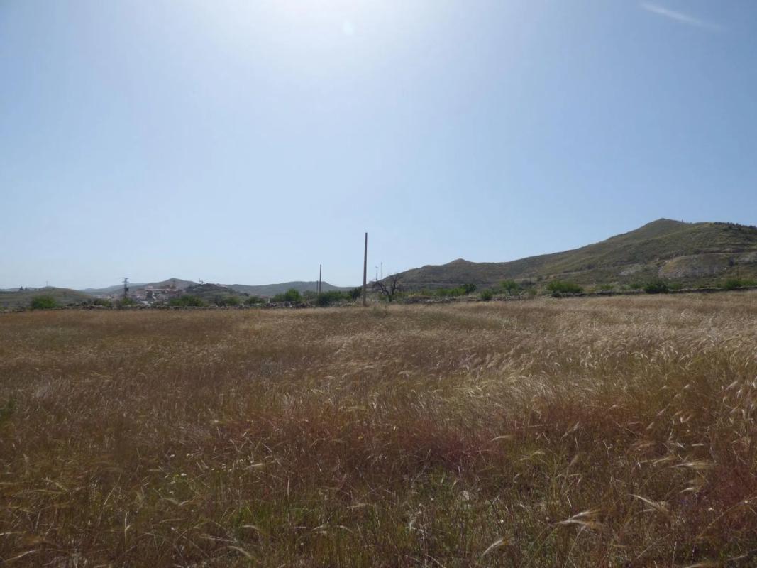 Terreno en venta en Uleila del Campo, Almería photo 1