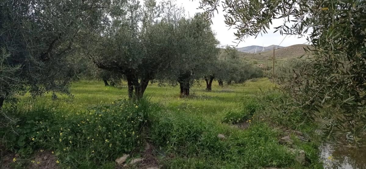 Terreno en venta en Las Tres Villas, Almería photo 1