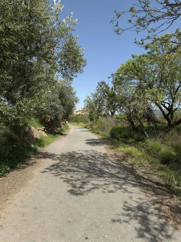 Terreno en venta en Fiñana, Almería photo 2