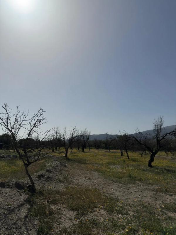 Terreno en venta en Fiñana, Almería photo 3
