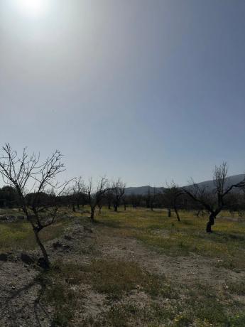 Terreno en camino Moladi thumbnail 2