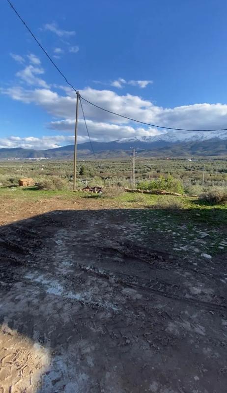 Terreno en venta en Fiñana, Almería photo 4