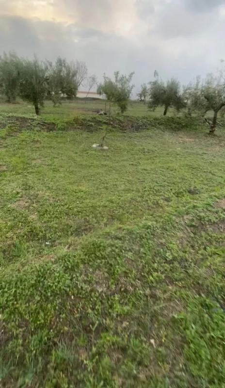 Terreno en venta en Abrucena, Almería photo 1