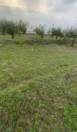 Terreno en carretera Estacion photo 1