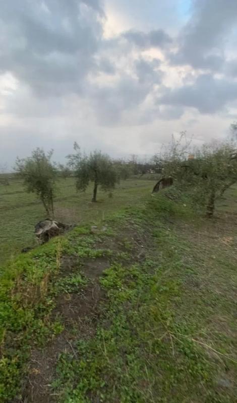 Terreno en venta en Abrucena, Almería photo 4