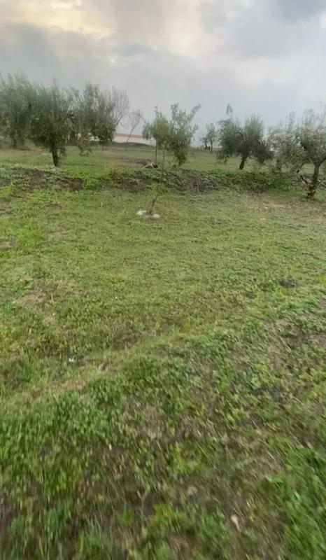 Terreno en venta en Abrucena, Almería photo 5