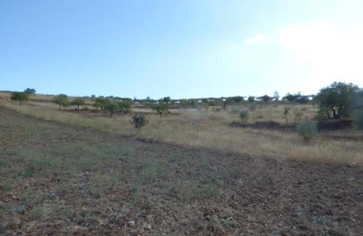 Land for sale in Tahal, Almería photo 3