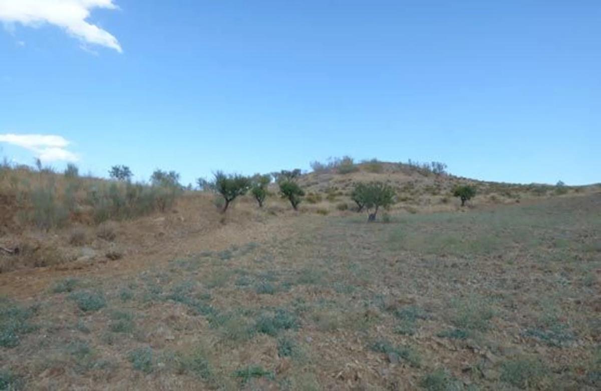 Land for sale in Tahal, Almería photo 4