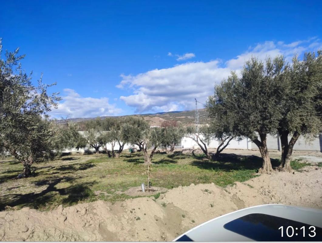 Terreno en venta en Fiñana, Almería photo 2