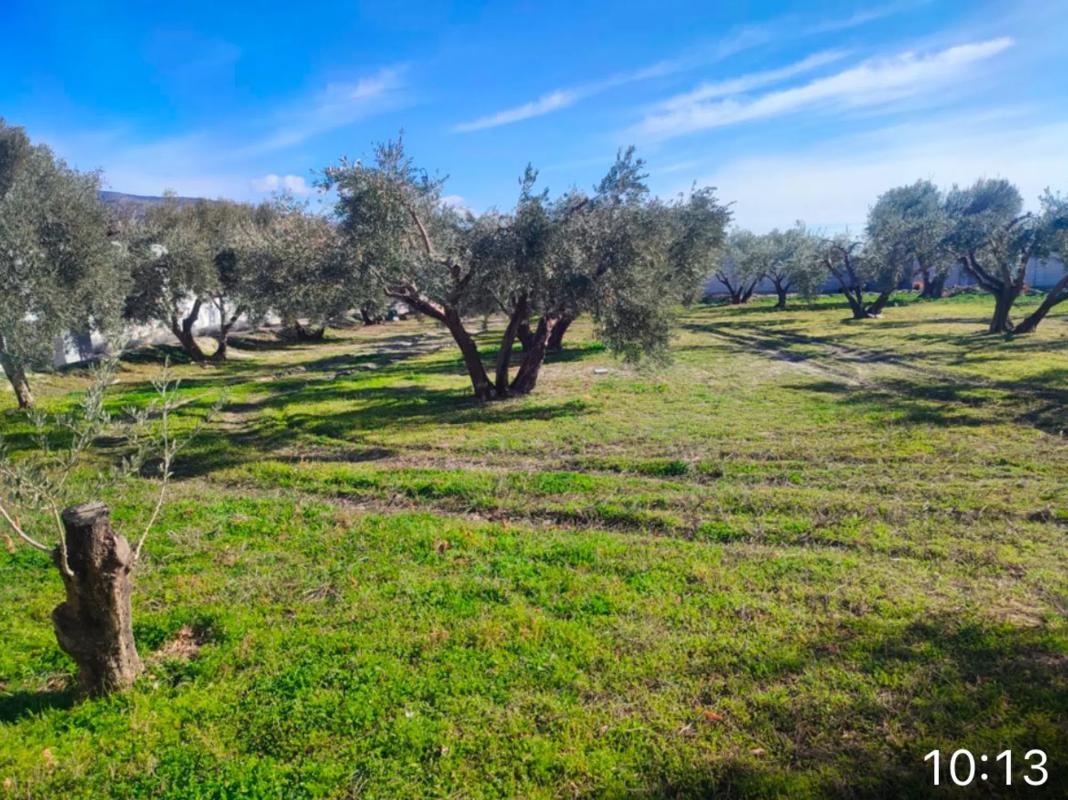 Terreno en venta en Fiñana, Almería photo 3